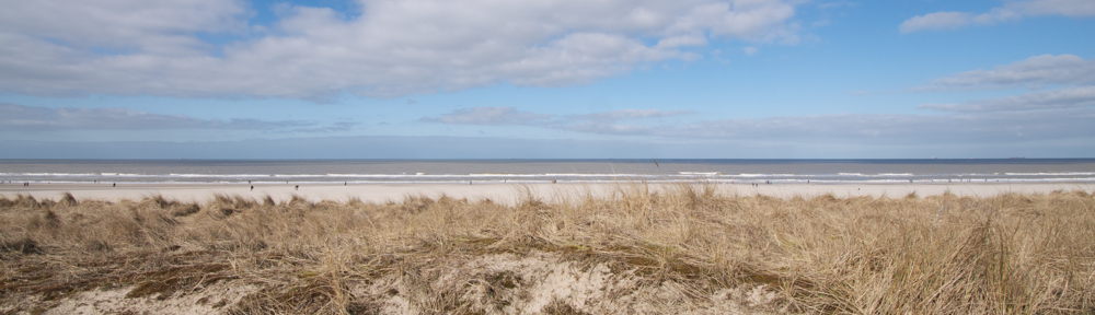 Kijkduin Dunes